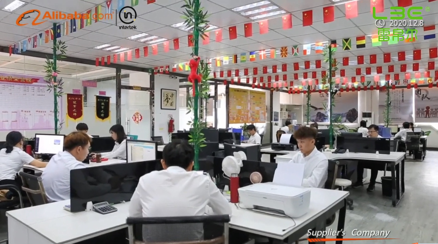 Chine Dongguan Leibo'er Technology Co., Ltd.