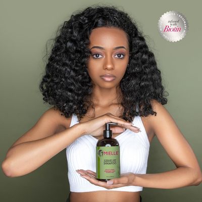 Purify Clarifying Rosemary Mint Shampoo Infused For Weak Brittle Hair OEM