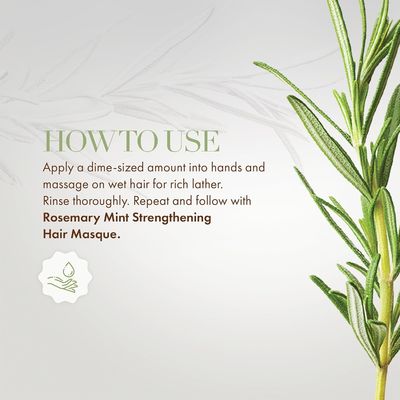 Purify Clarifying Rosemary Mint Shampoo Infused For Weak Brittle Hair OEM