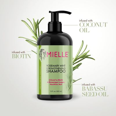 Biotin Enriched Rosemary Mint Hair Regrowth Shampoos Deep Cleansing for Fragile Damaged Hair