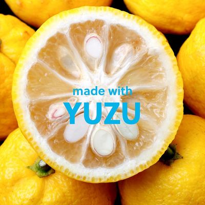 18oz Candied Lemon Treehut Ultra Hydrating Exfoliating Body Scrub